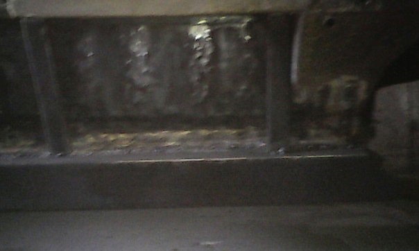 Я відчув запах кицьки 5