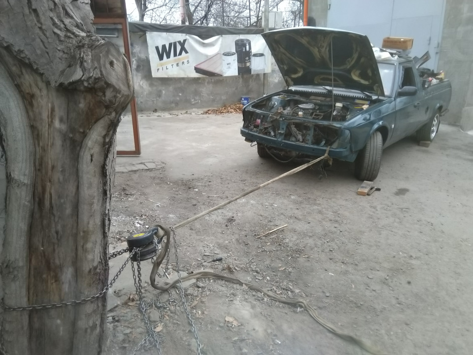Потроху оживаємо. 1