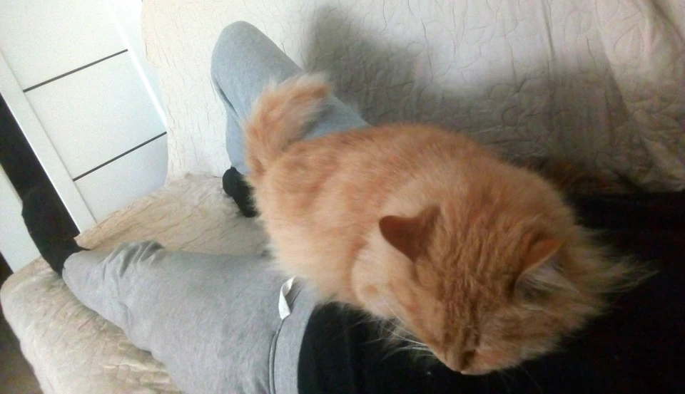 З Новим роком!