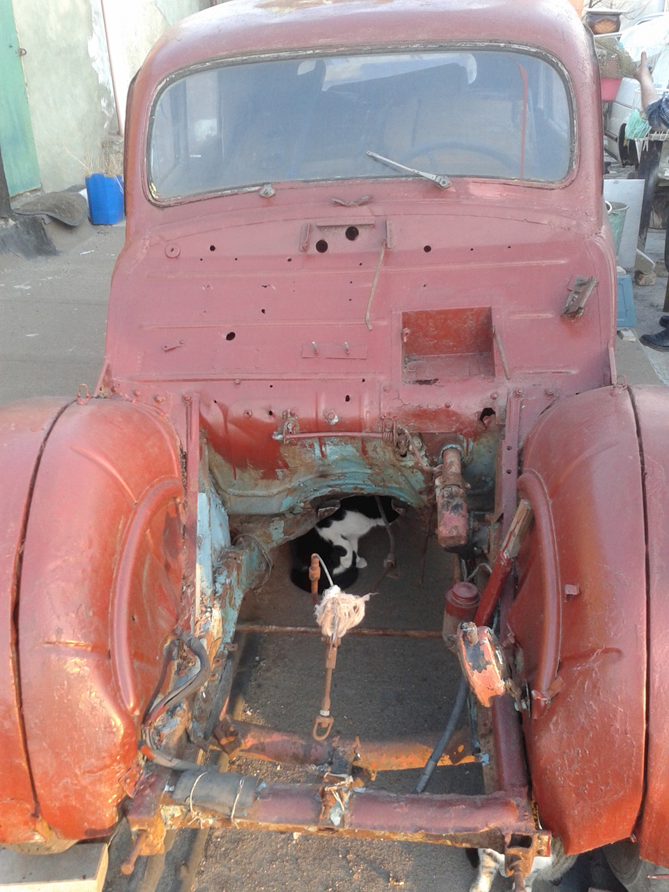 Донор зайвий 4