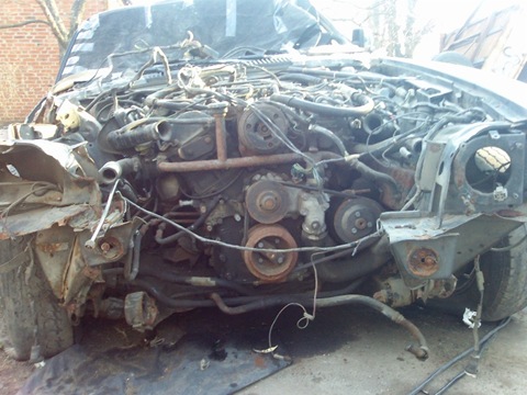 Шляхетний звір йде під ніж. ДОНОР - JAGUAR XJS V12 1986 3