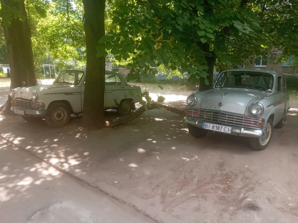 Трішки пощастило