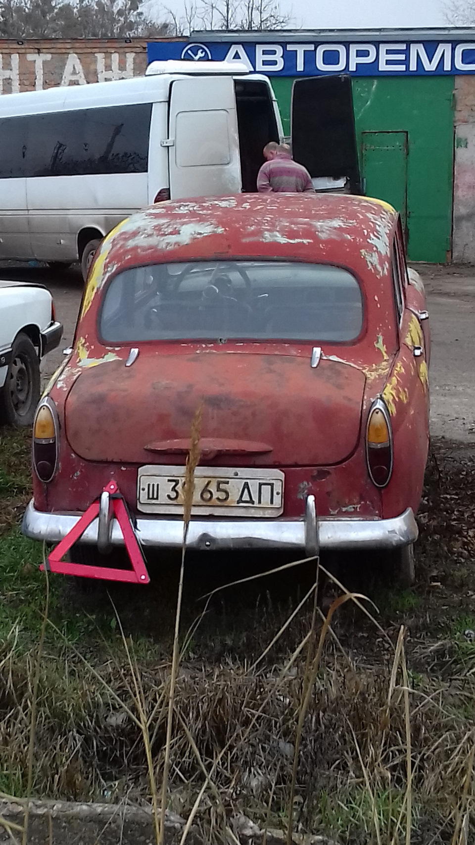Випадкова зустріч з динозавром 3