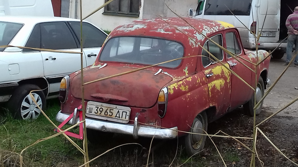 Випадкова зустріч з динозавром 1