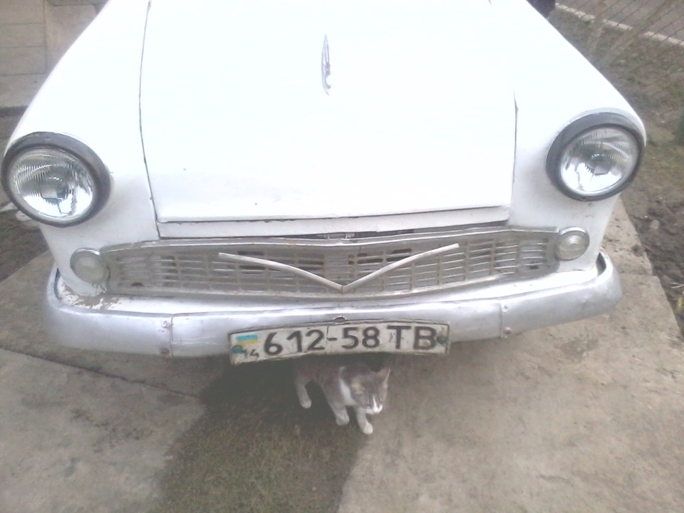 нові фари 2