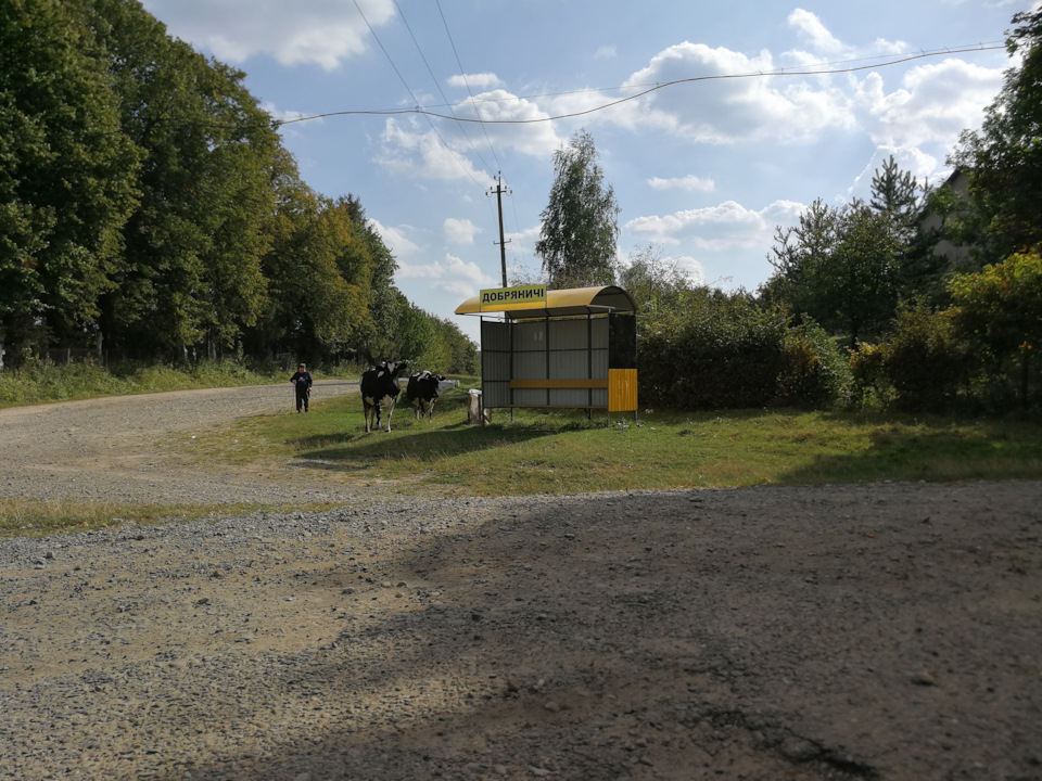 1 Світова(за слідами прадіда) — Захоплення міста Стрий 2