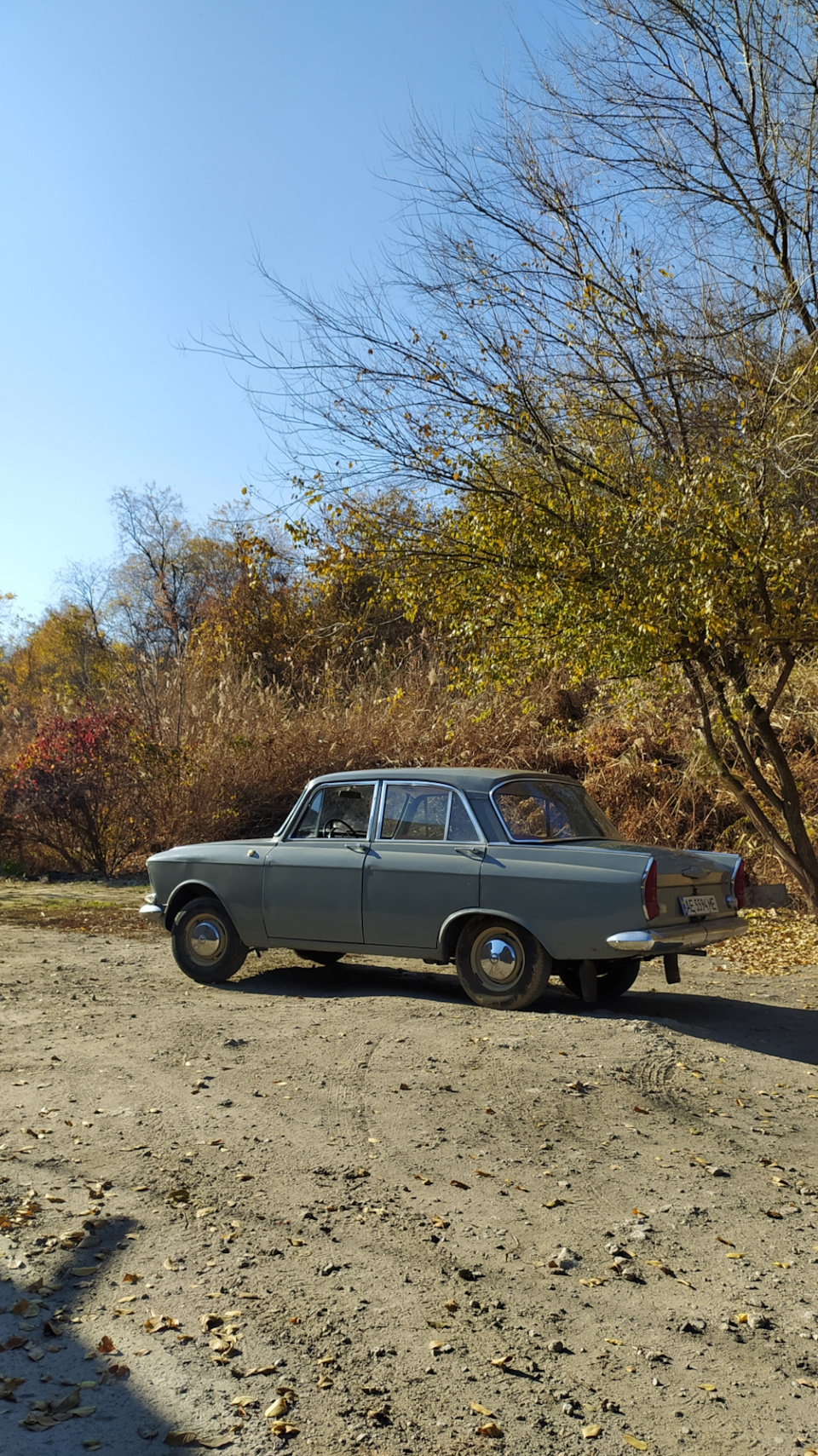 Невелика осіння фотосесія 4