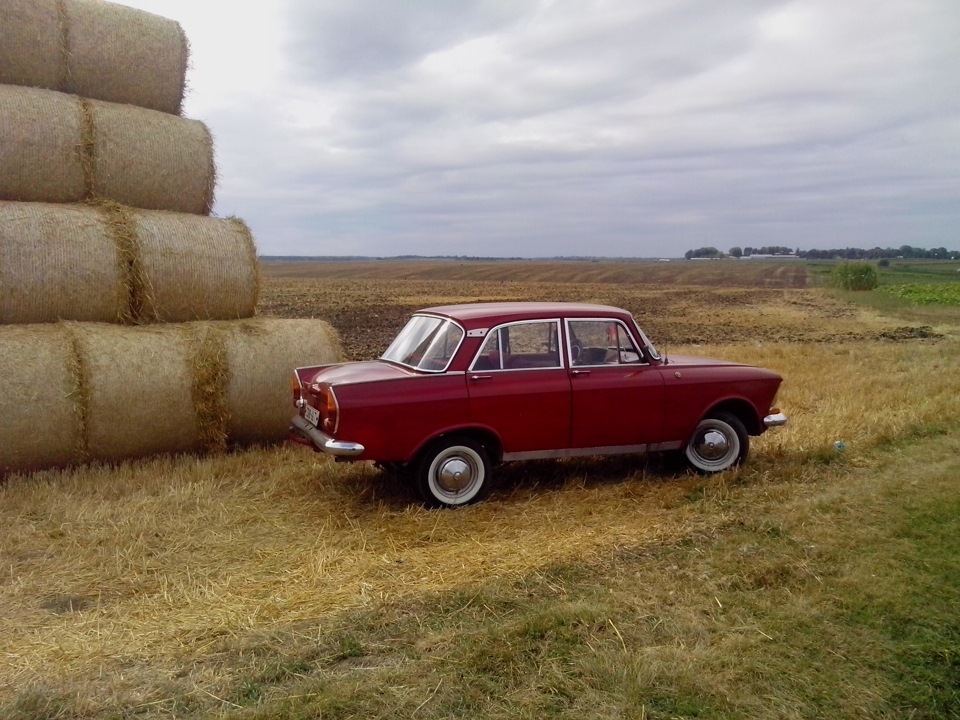 Небольшой фотосет_ _ _ _ _ _ _ Невеличка фотосесія 3