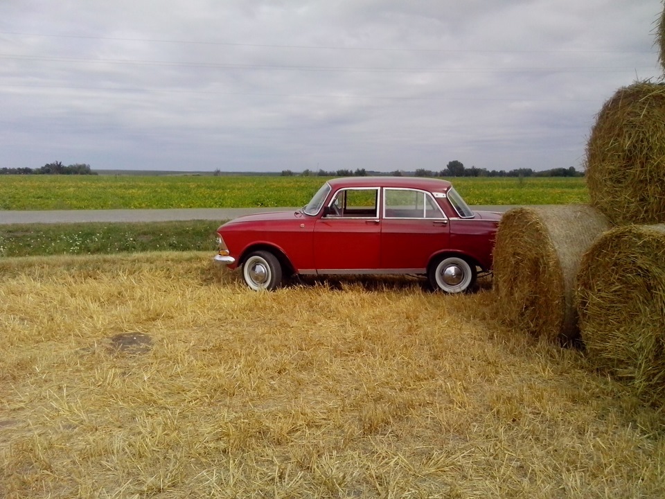 Небольшой фотосет_ _ _ _ _ _ _ Невеличка фотосесія 2