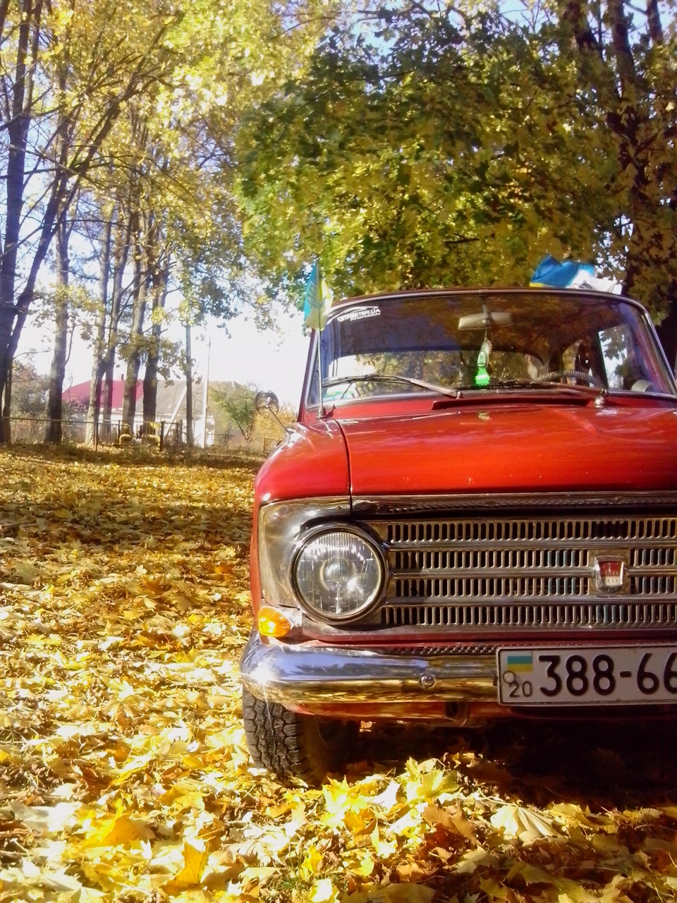 Осінь... Осінь 5