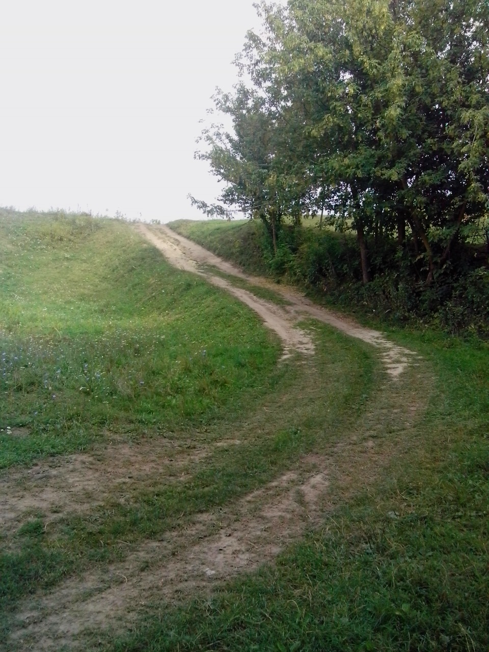 Відпочинок добре... 1