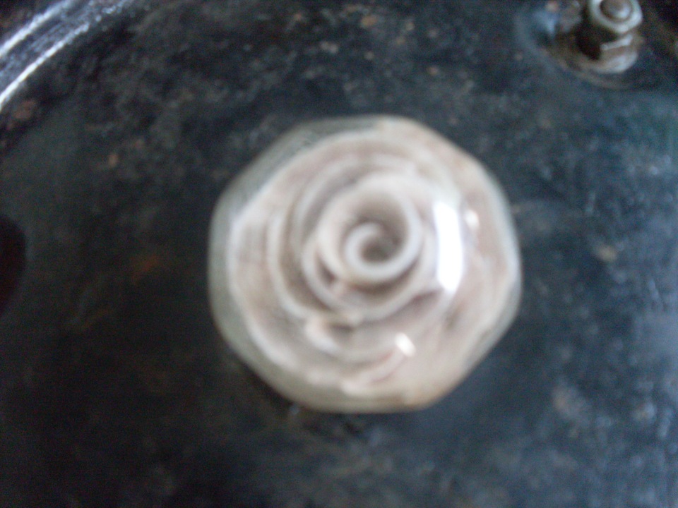 Ніштячки =)) 1