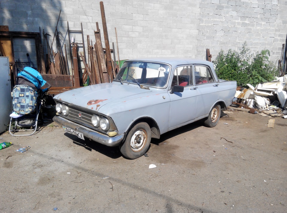 Дився експортного донора 1966 року 1