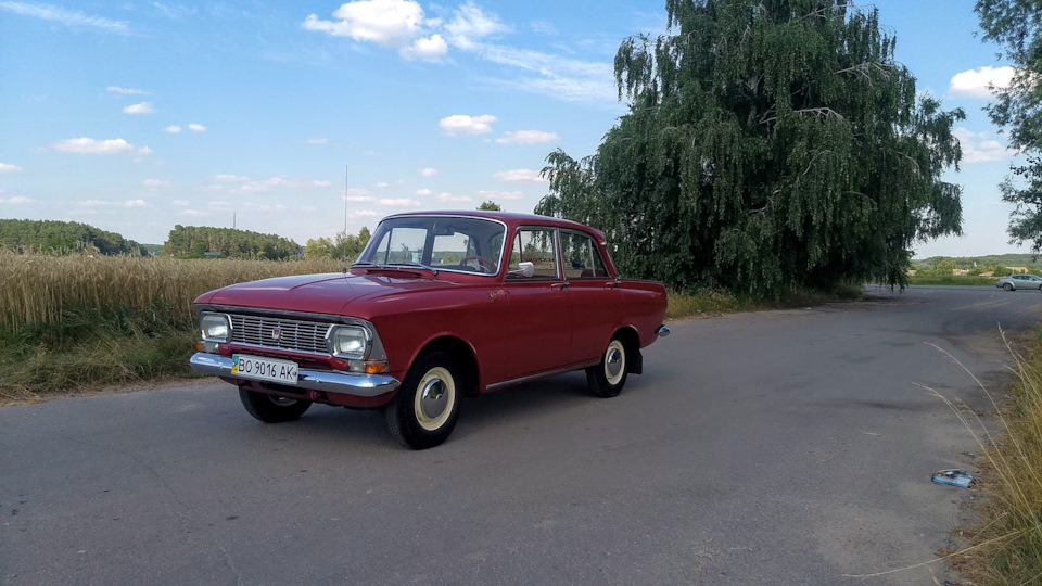 Поїздка на фотосесію на природу 5