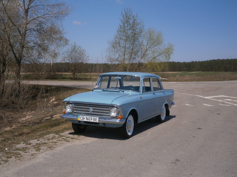 фото на природі Папка №1 4