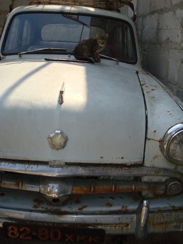 Продають 410 у Харкові 1