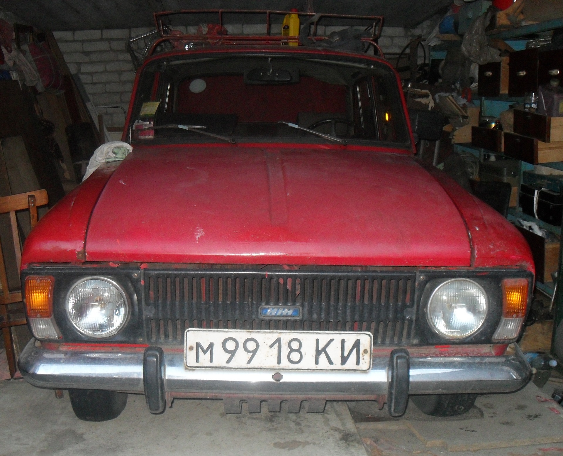 Задоволений як слон, замерз як ховрах 1
