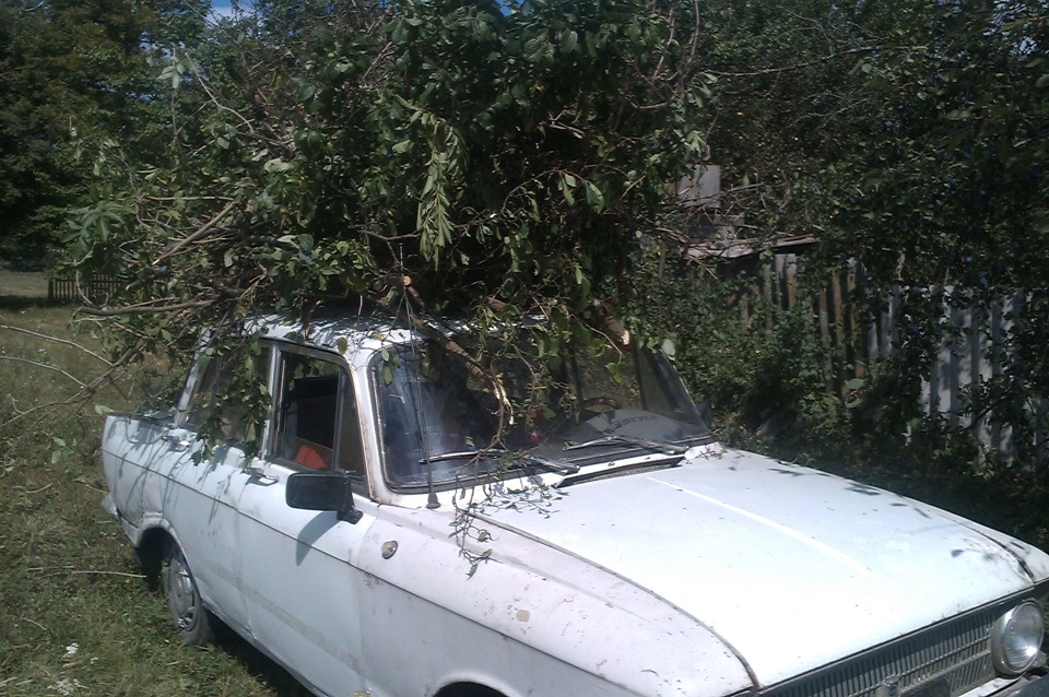 Помічник. 1