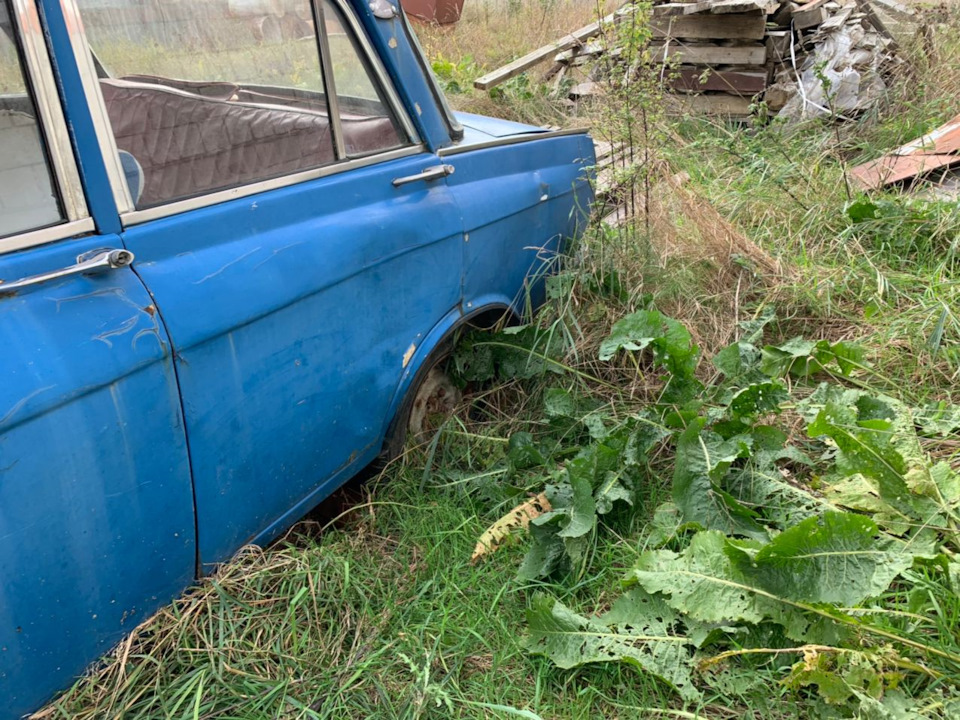 Покупка авто. 2