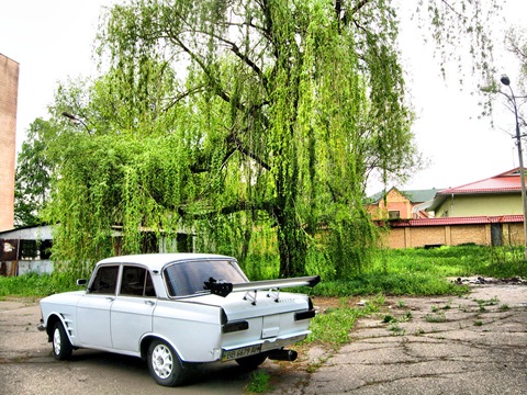 Нові весняні фото + невеликі зміни 5