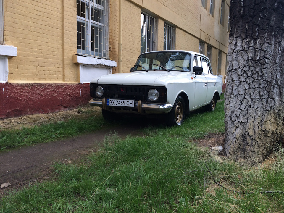 Потрібна порада 2