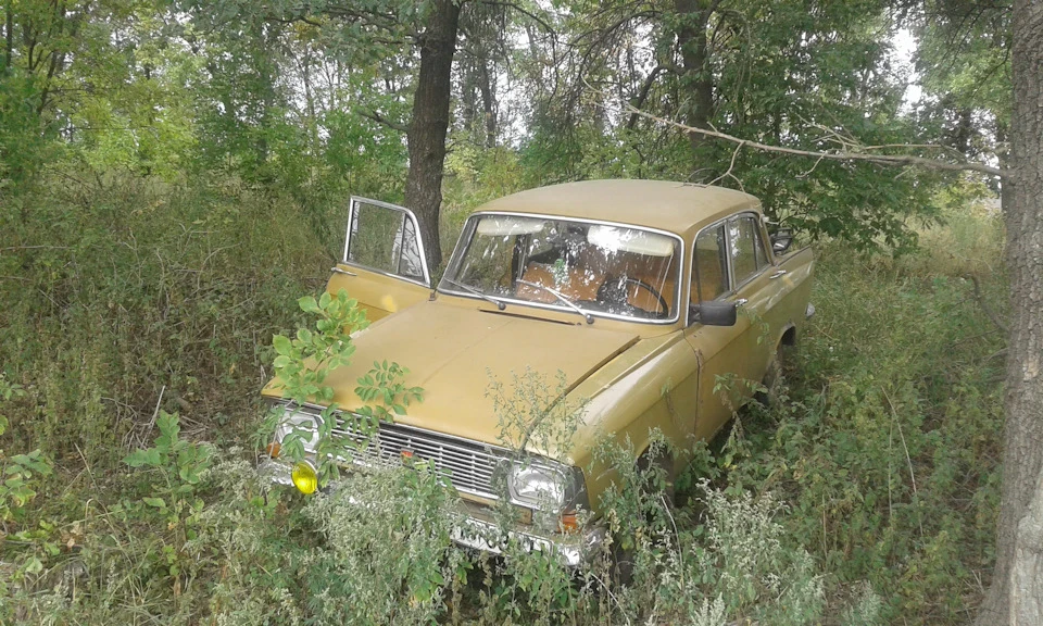 А причина була насправді
