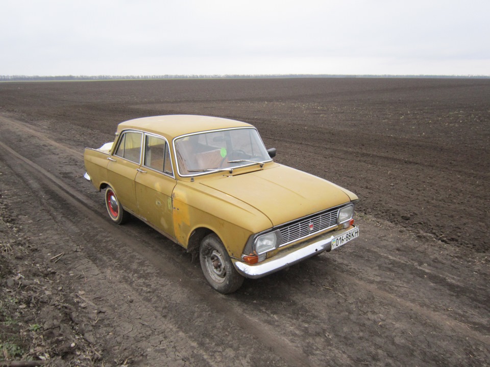Відкриття сезону 5