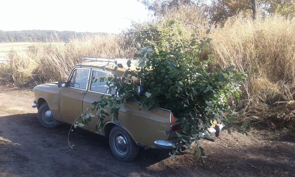 Запис, 16 листопада 2018 2