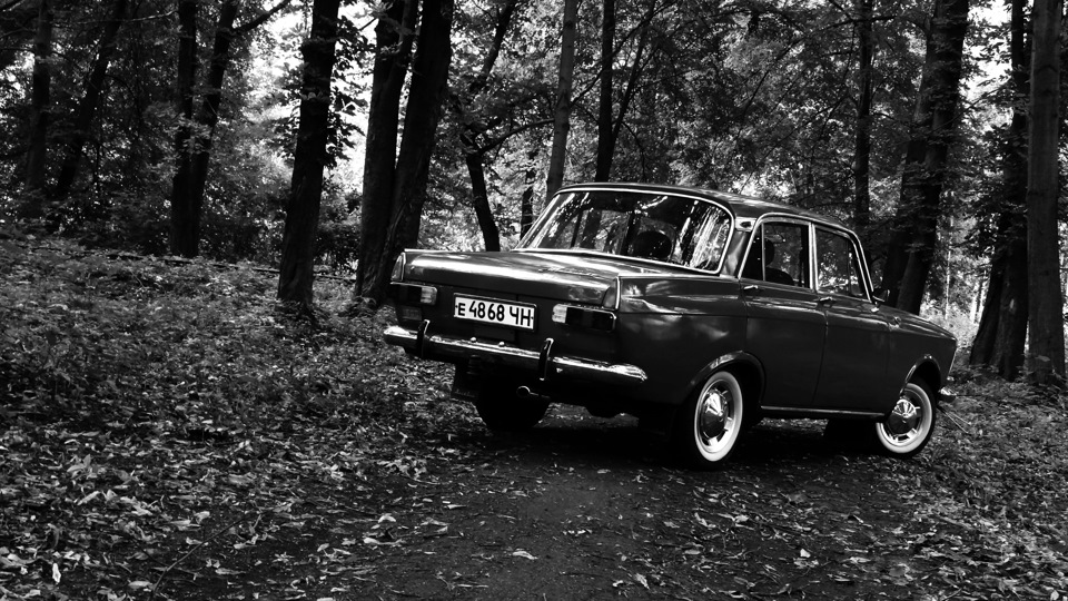 Літній фотосет 5