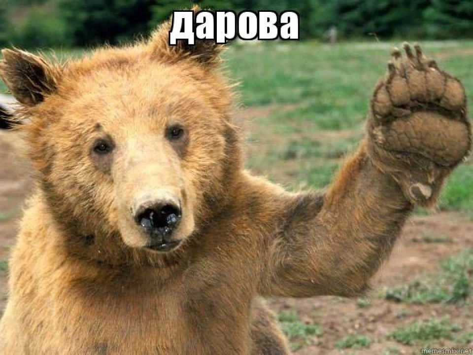 Що ми маємо ツ