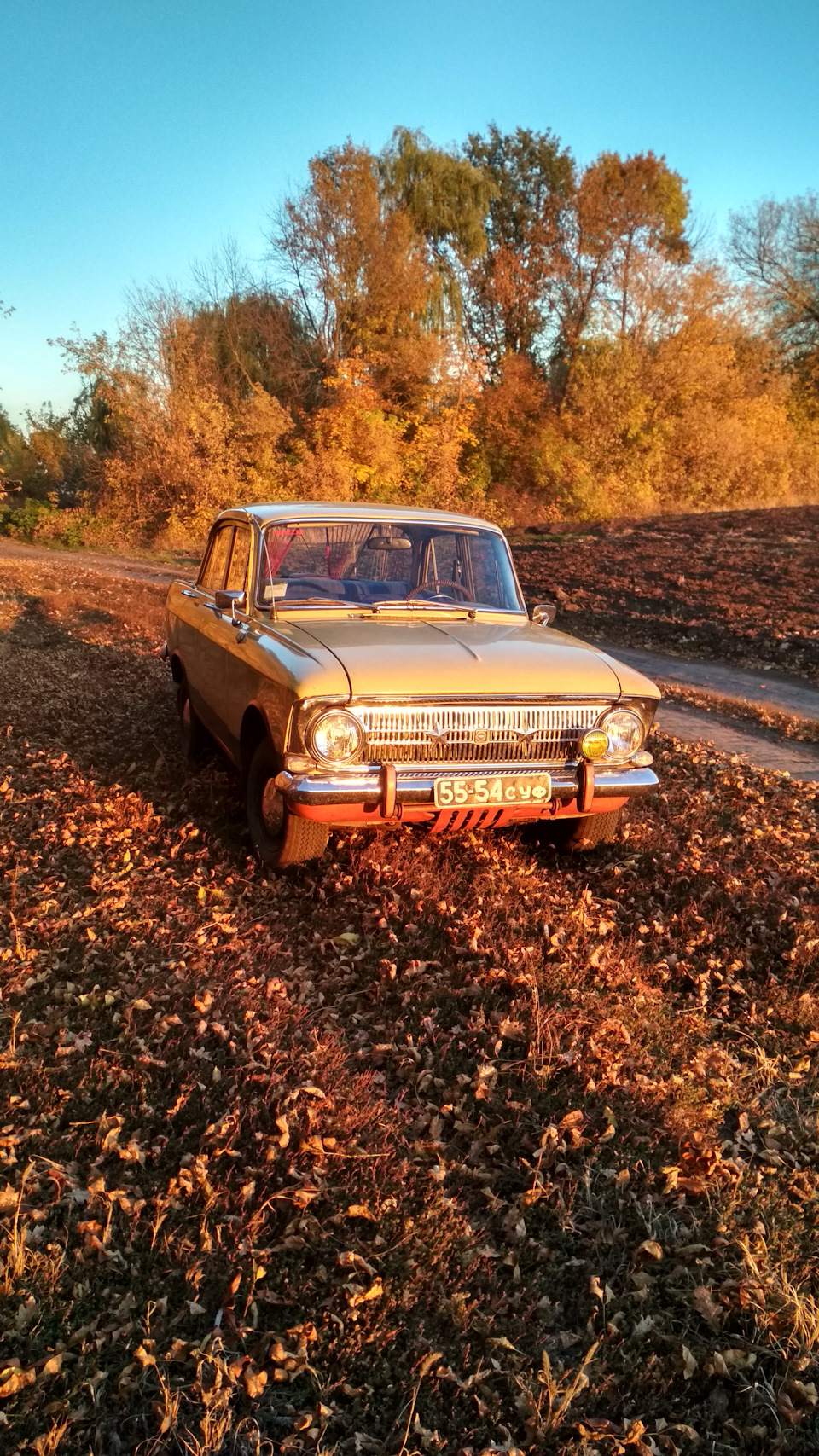 Катнув мало 4