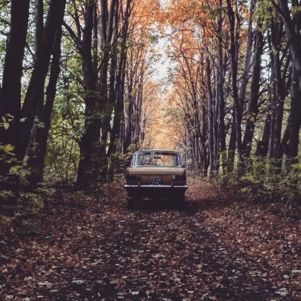 Катнув мало 2