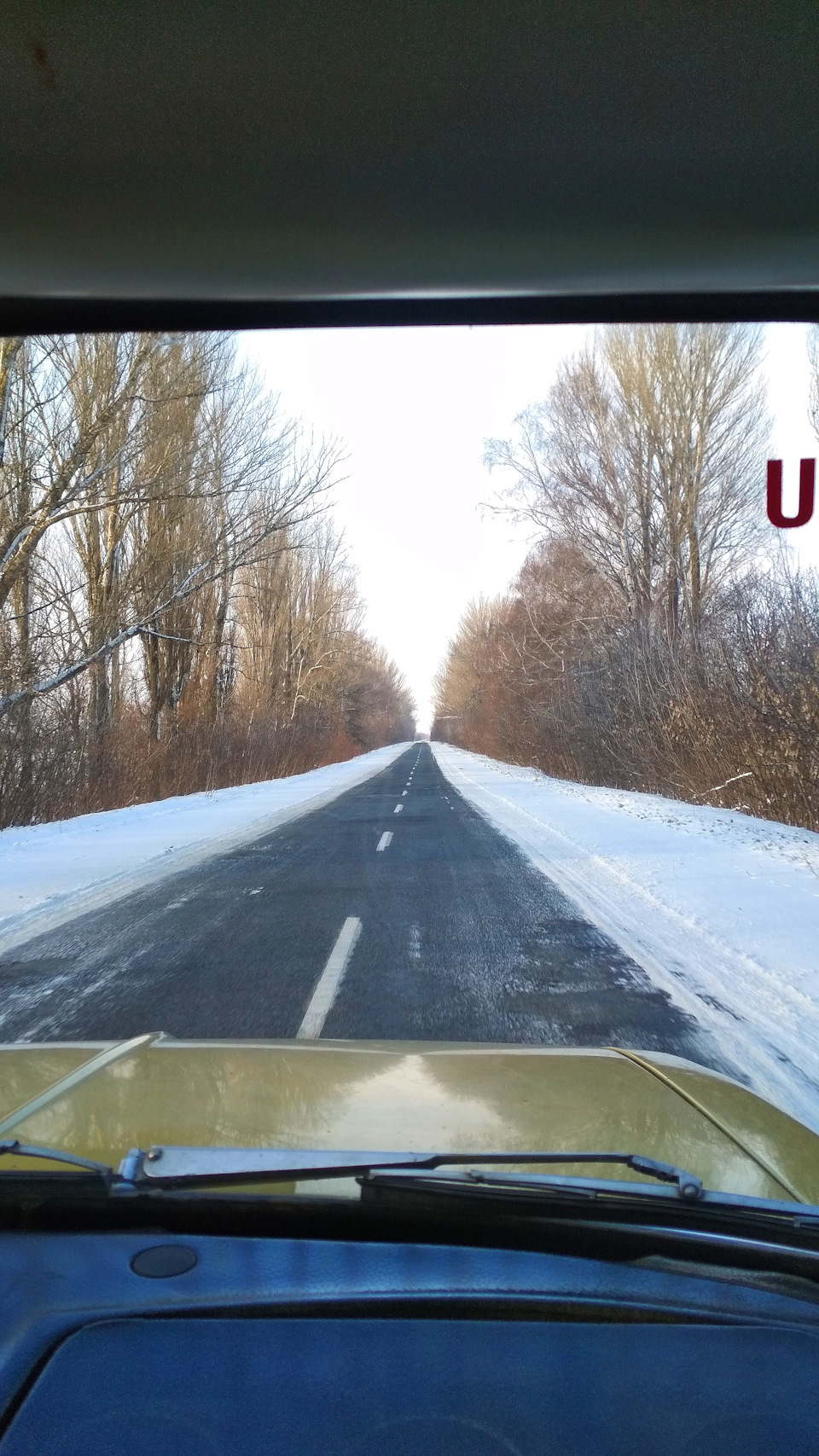 Зима - жорстока, особливо до новачків 1