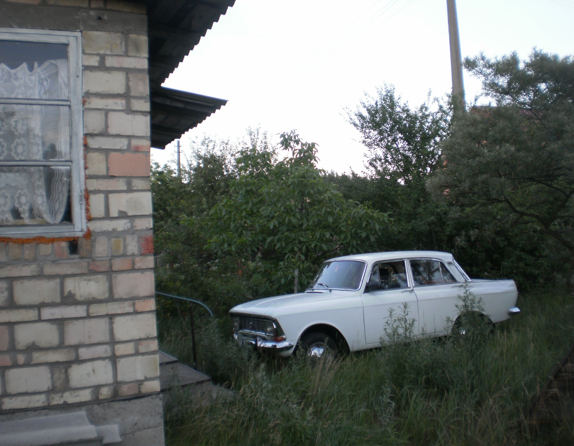 Дача, подорожі) 1