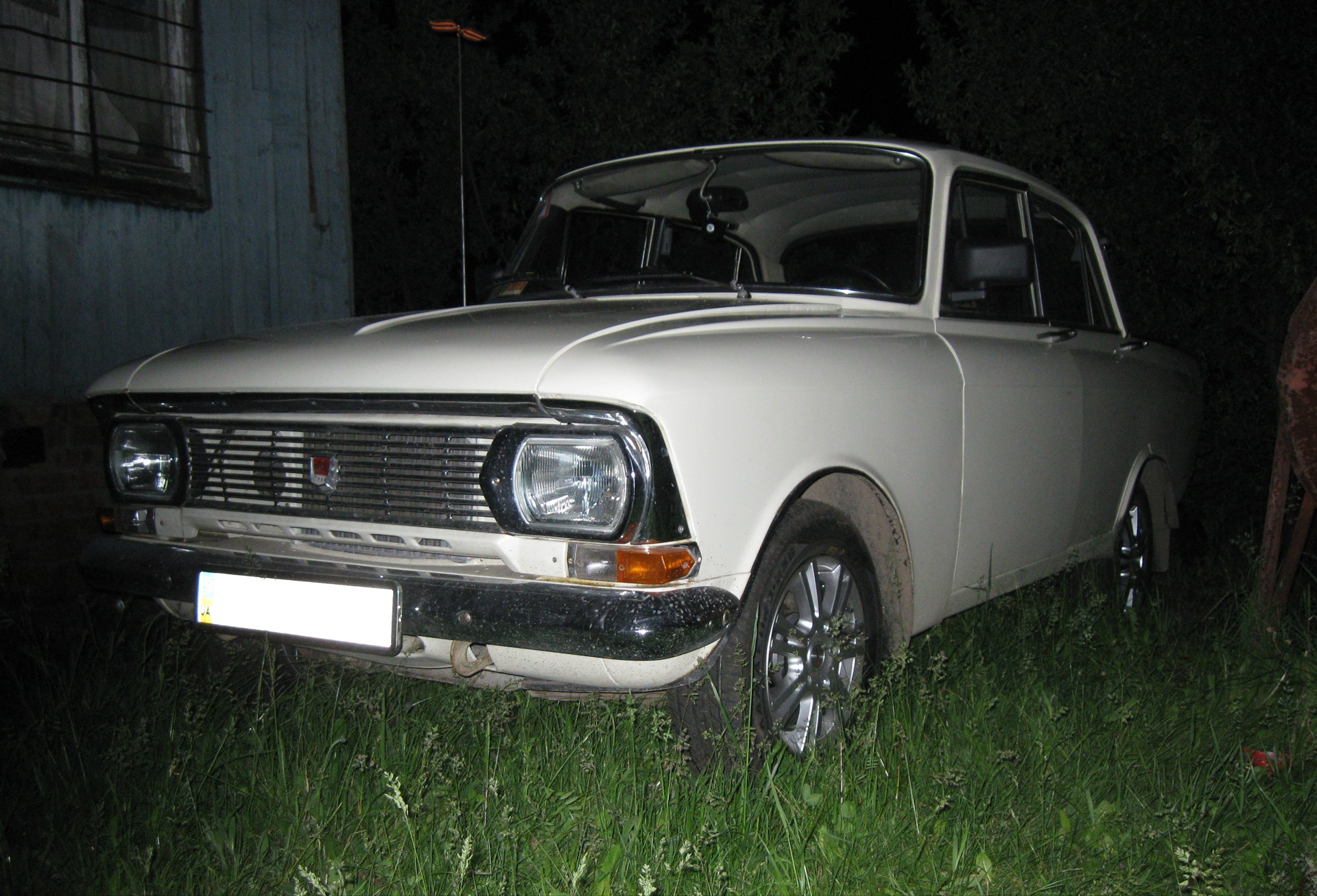 Фото на природі 2