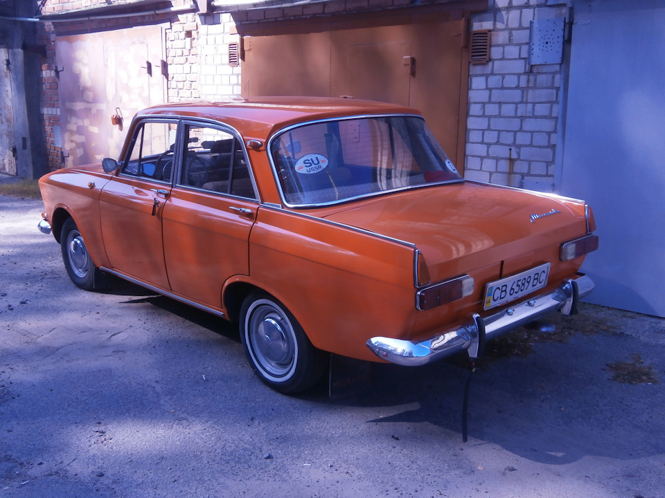фото соняшнику 5
