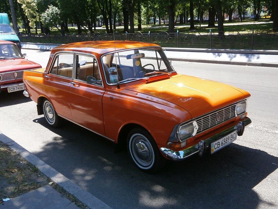фото соняшнику 3