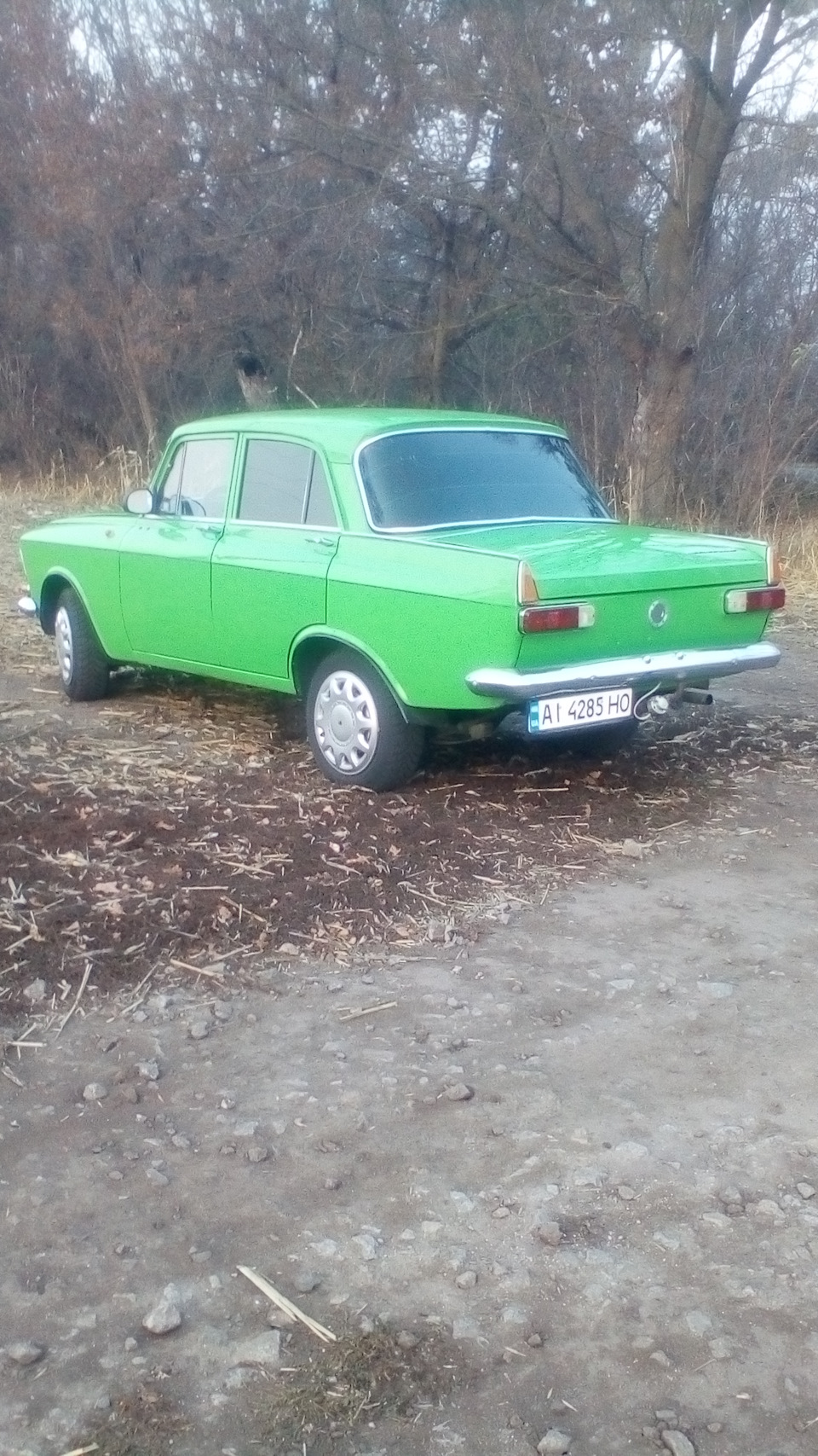 Польова фотосесія. 1