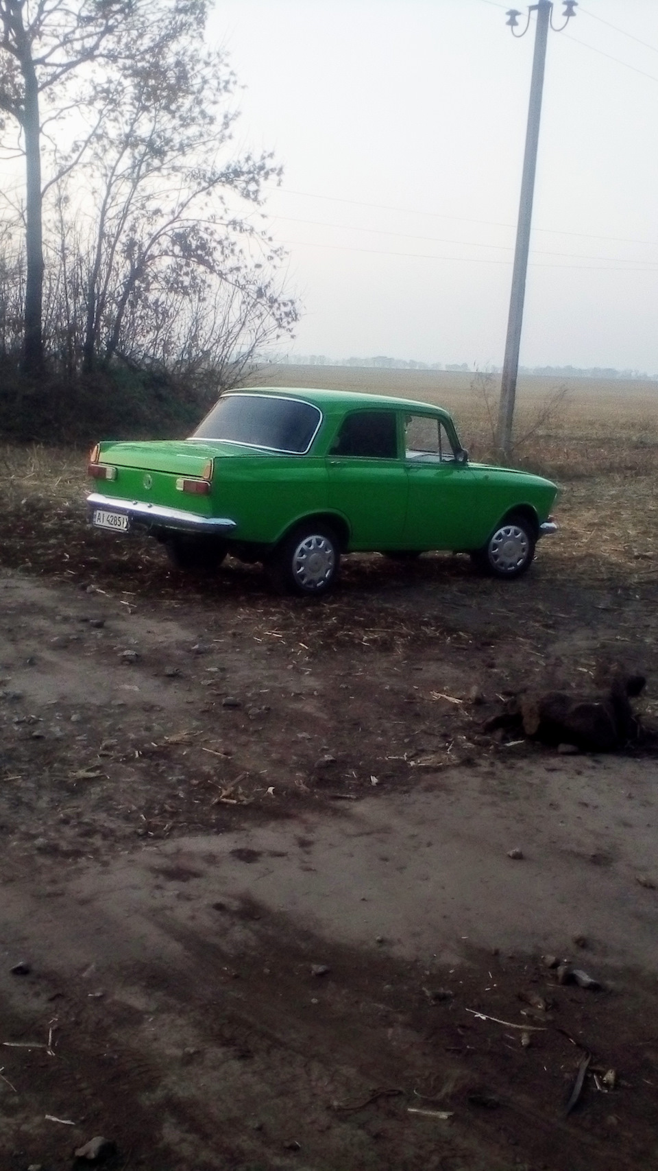 Польова фотосесія. 2