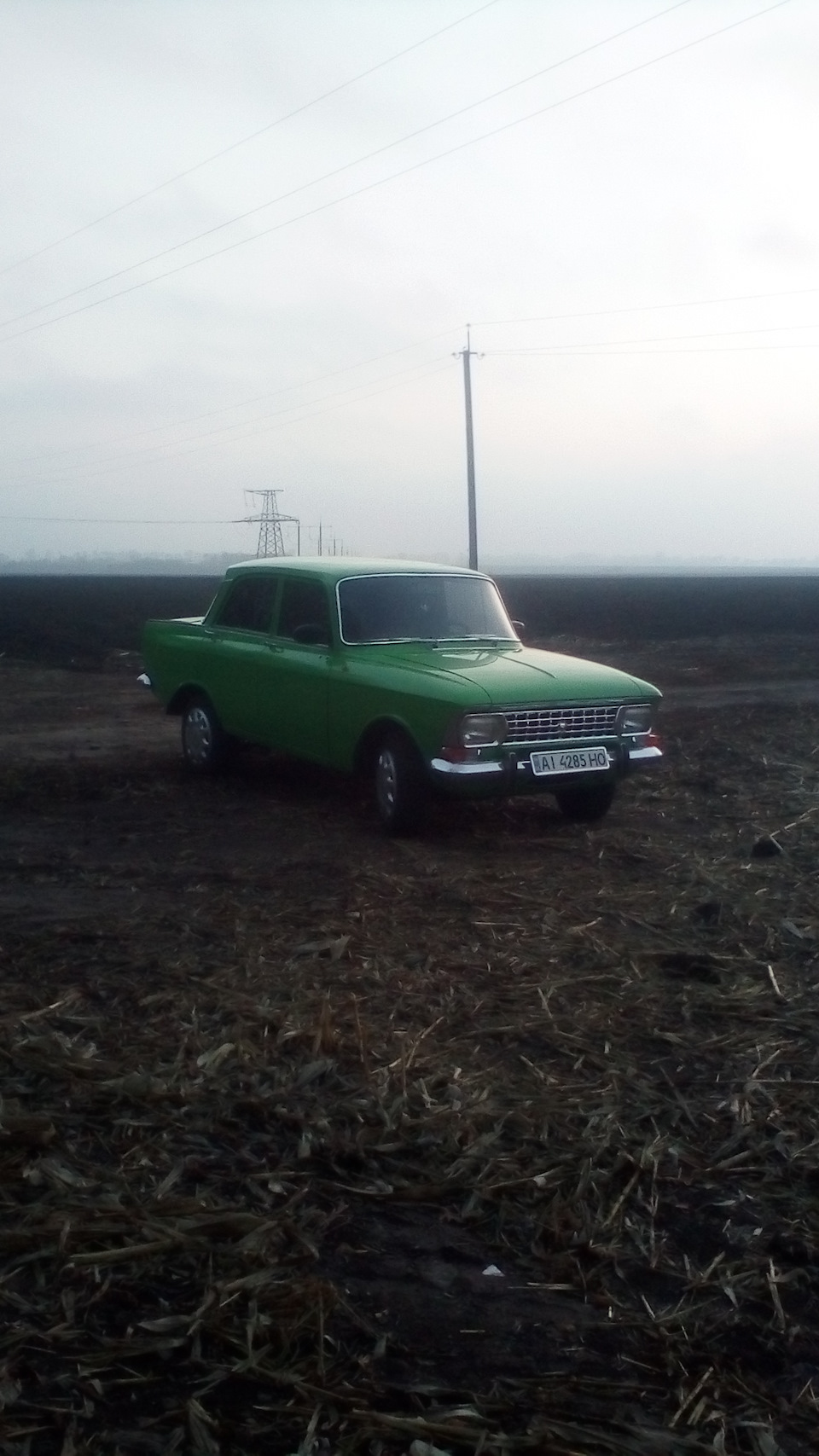 Польова фотосесія. 3