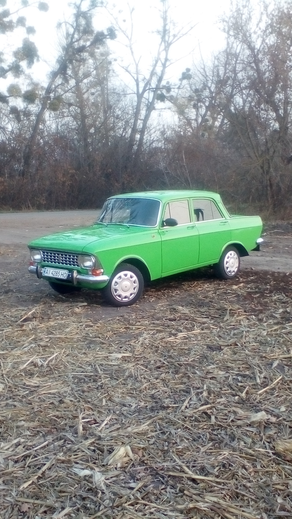 Польова фотосесія. 4