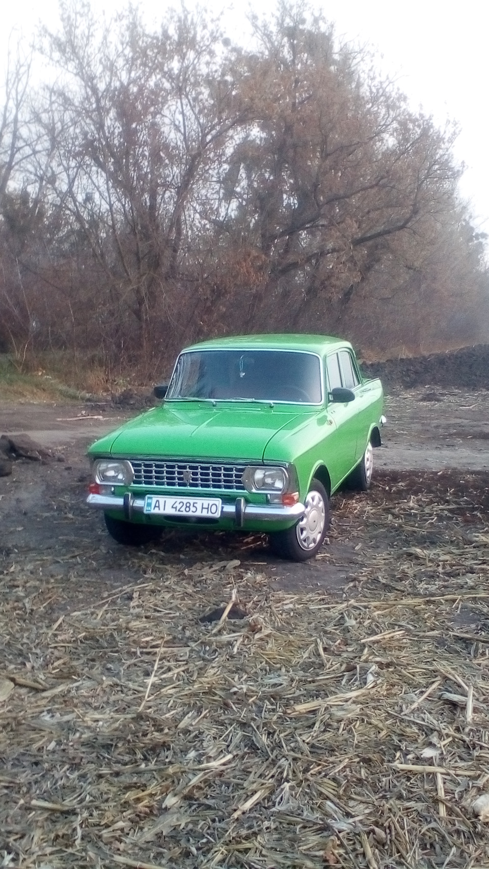 Польова фотосесія. 5