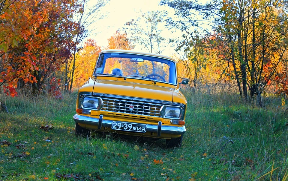 Осінні фотографії