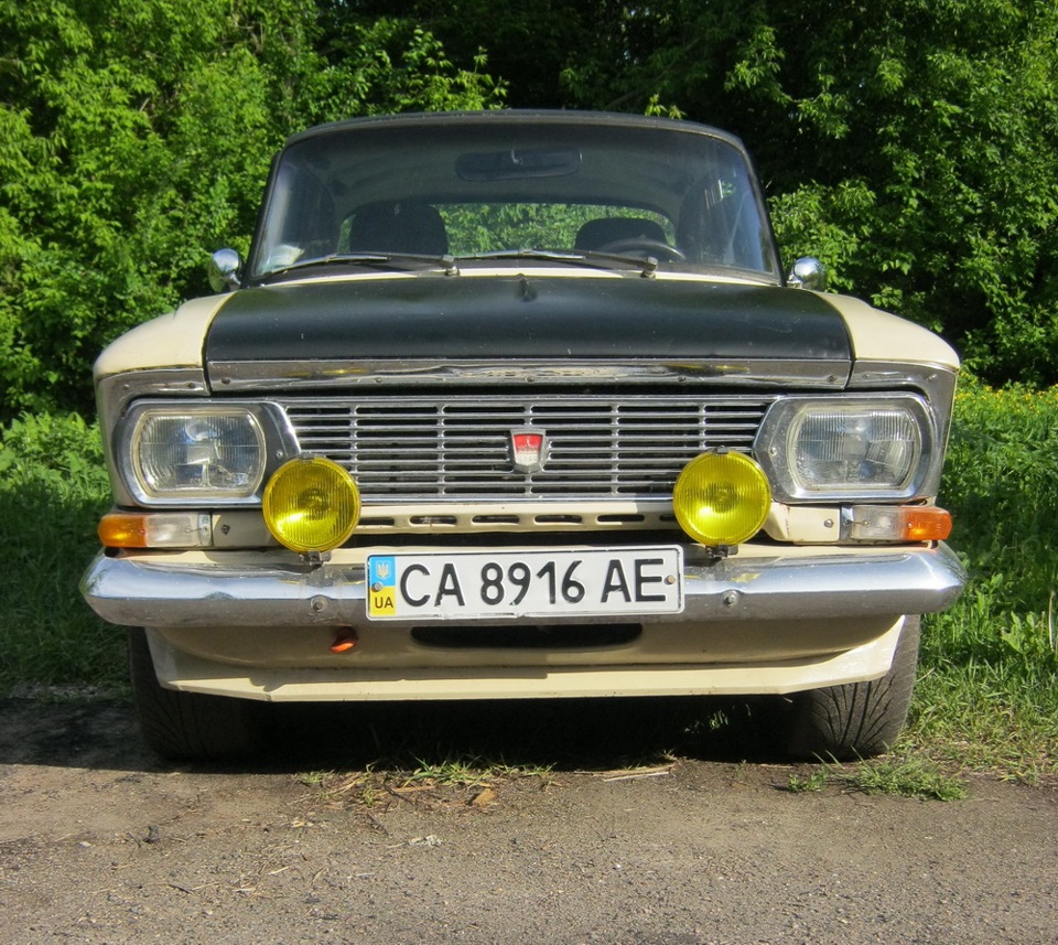 64. їздить возить, і трохи няшок :) 1