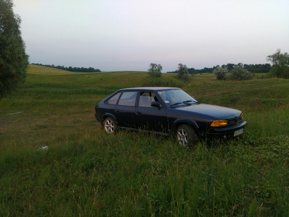 Фото на природі 4