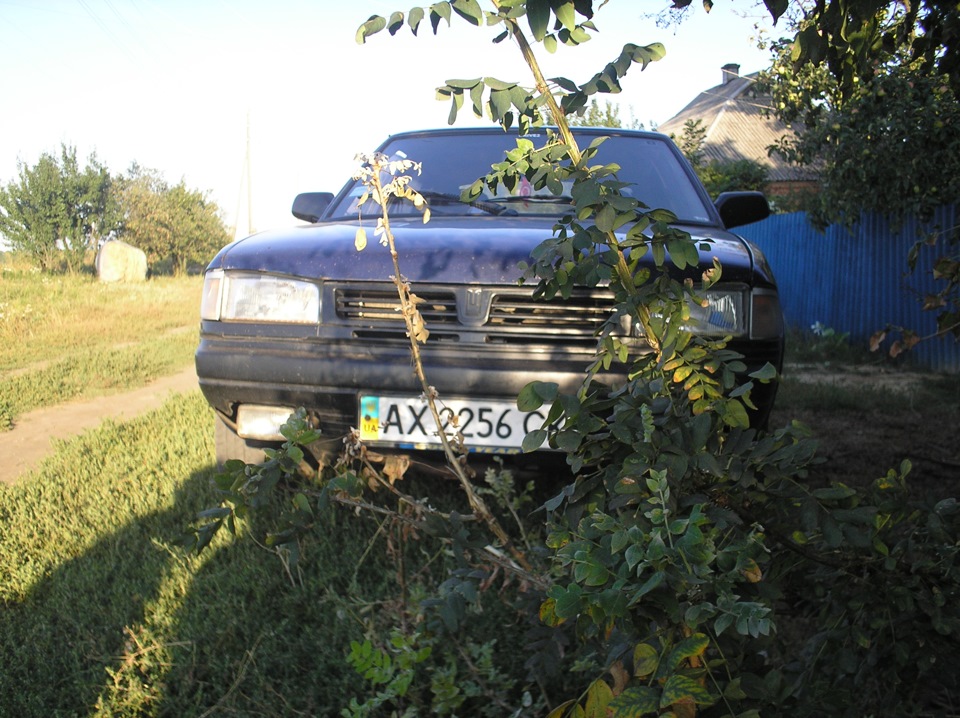 Новий провід 5