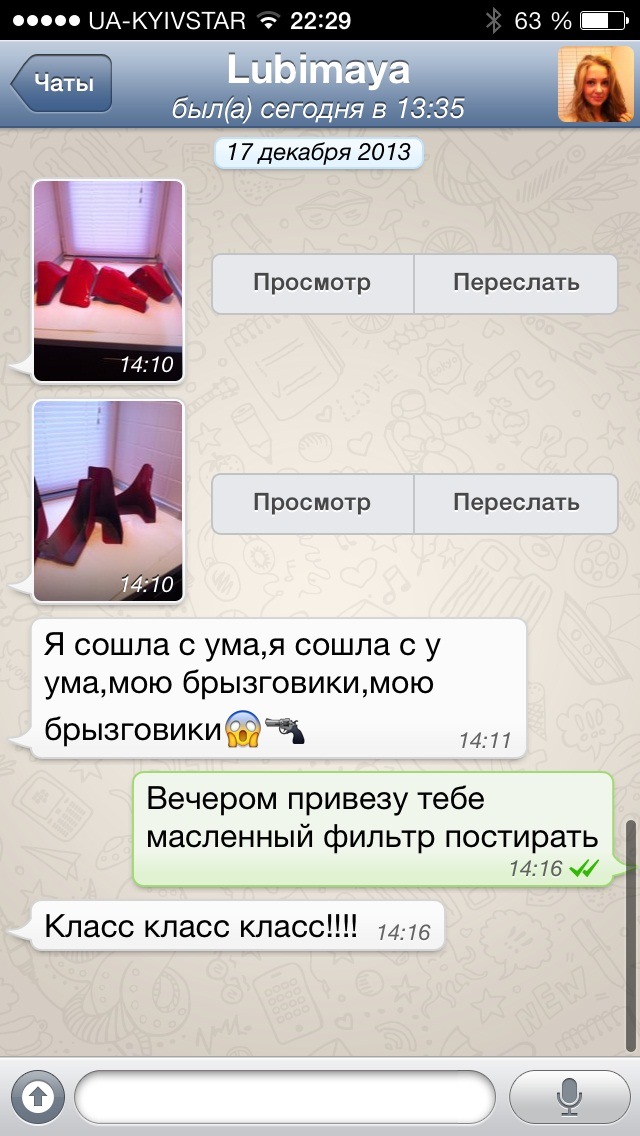 Перша зима на Z 1