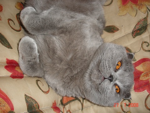 Запис, 8 серпня 2008 4