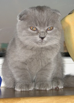 Запис, 8 серпня 2008 1