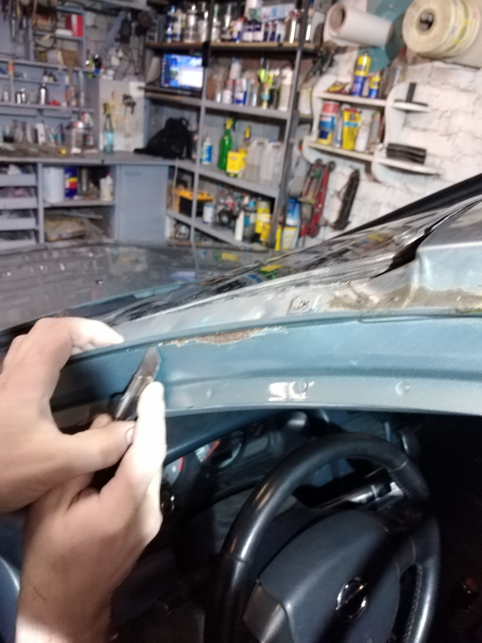 Фарбування рижика Almera Classic 2